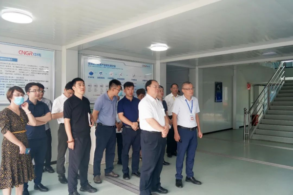 國家發(fā)展改革委綜合運輸研究所所長、研究員汪鳴率調(diào)研組到中偉欽州產(chǎn)業(yè)基地調(diào)研
