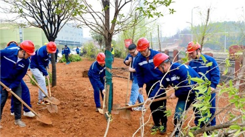 這個(gè)植樹節(jié)，共植一抹青綠，向著綠色未來出發(fā)！