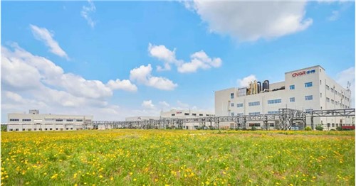 連續(xù)三年排名穩(wěn)步提升！中偉股份入選2025年中國民營企業(yè)500強(qiáng)