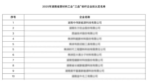 湖南中偉新能源獲評湖南省原材料工業(yè)“三品”標桿企業(yè)以創(chuàng)新賦能高質(zhì)量發(fā)展